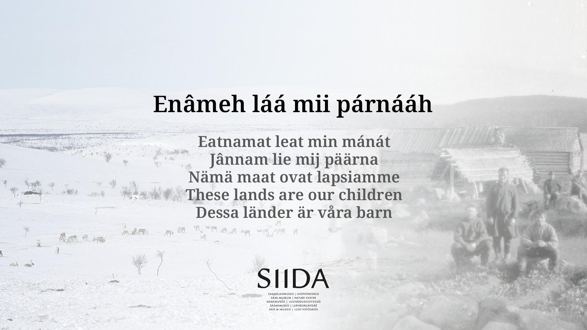 Teksti: Enâmeh láá mii párnááh – Nämä maat ovat lapsiamme, kolmella saamenkielellä, sekä suomeksi ja englanniksi. Tekstin taustalla vanha mustavalkokuva saamelaisalueelta.