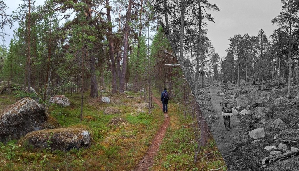 Following Erkki Mikkola's footsteps - Landscapes 100 years ago and today
