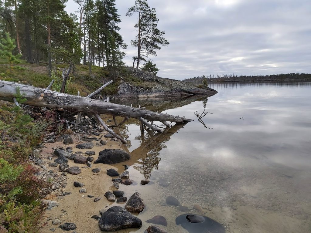 Luontoilta: Mitä kuuluu Inarijärvelle - sen kaloille ja kalastukselle?