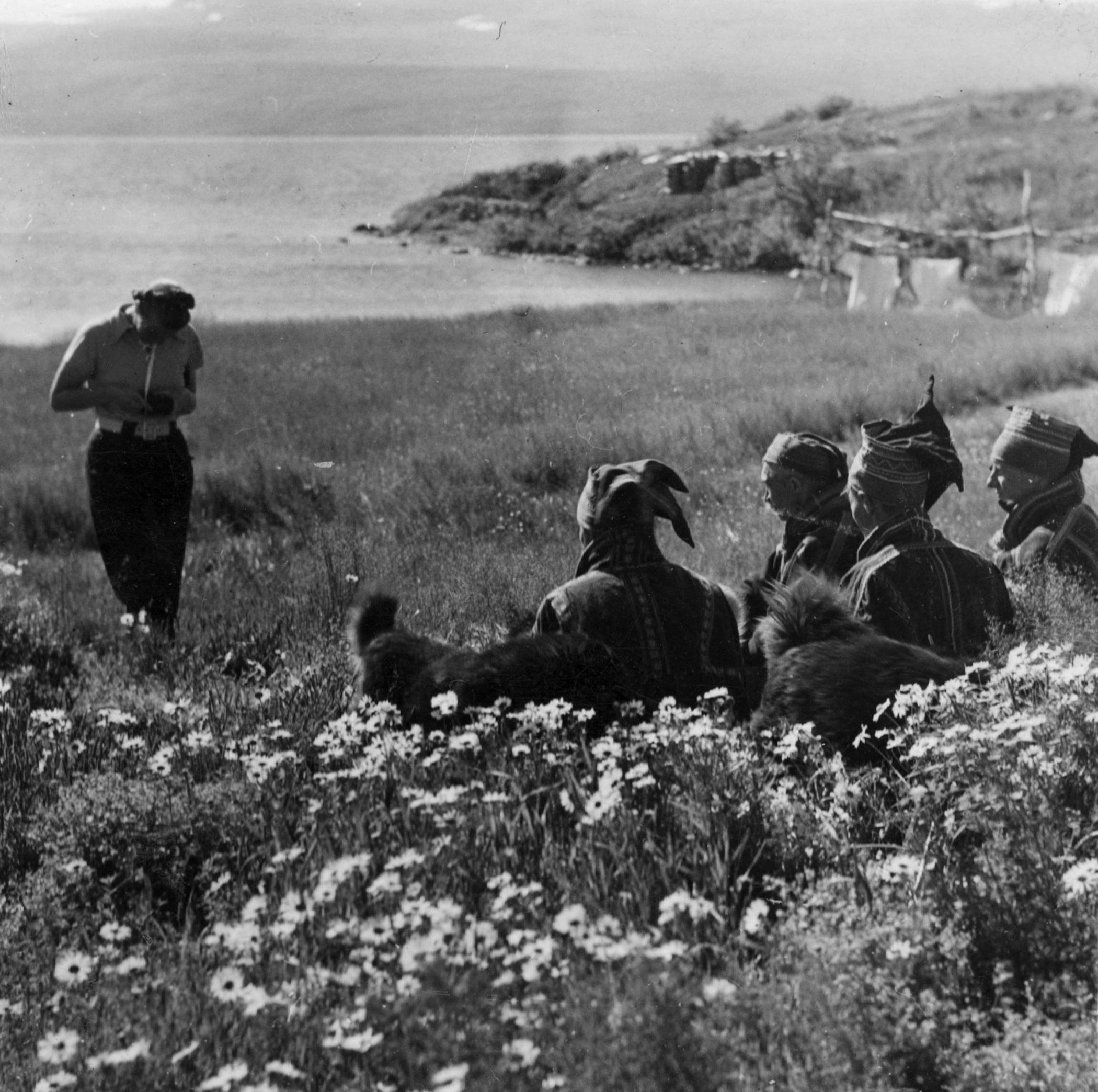 Kuvassa on nainen kuvaamassa etualalla istuvia saamelaismiehiä ja kahta koiraa niityllä, jossa on kukkia.