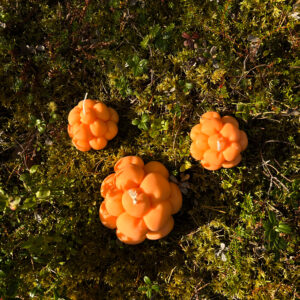 Hillakynttilät sammaleella