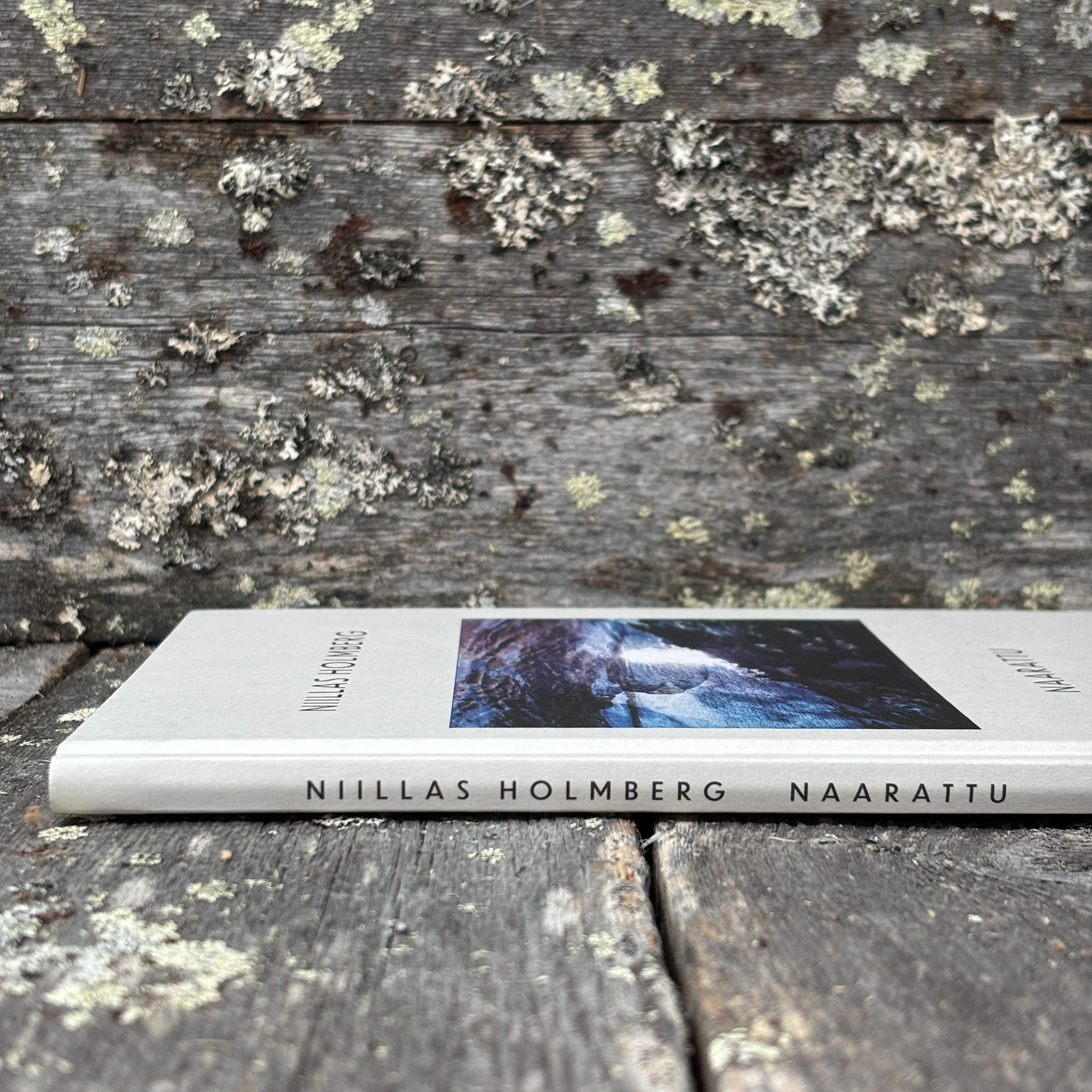 Naarattu, Niillas Holmberg - Image 3