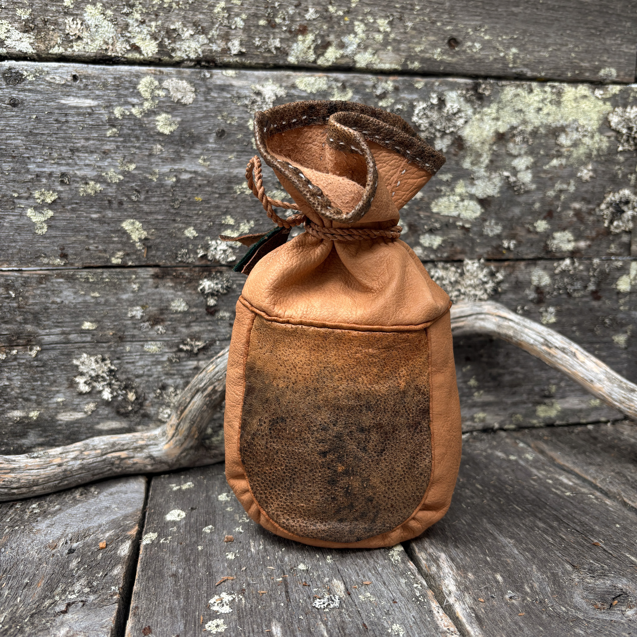 Kahvipussi, kissakala, Maria Aikio - Image 4