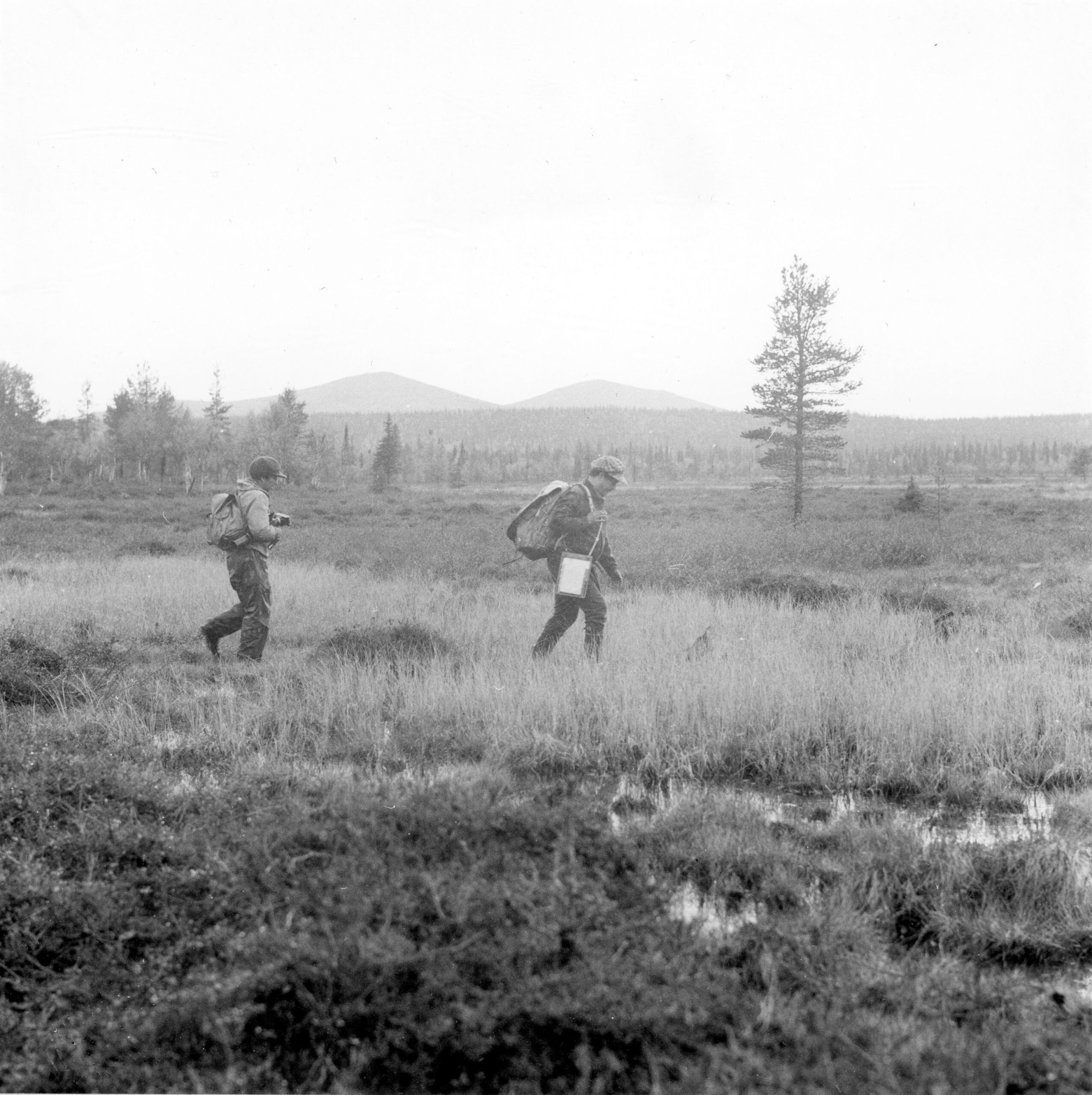Kaksi henkilöä kävelee suolla peräkkäin. Kuva on mustavalkoinen.