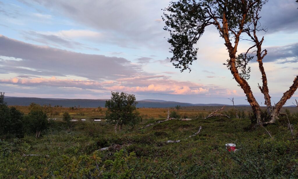 Siidan kulttuuriympäristöpalvelut kiinni 29.6–31.7.2026